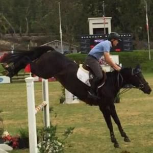 Meet your Posher, Mitchell